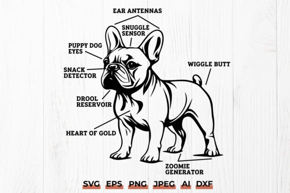 Anatomy of a French Bulldog Funny SVG for Crafts and Graphics